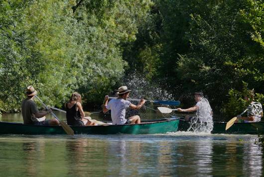 balade en canoë dans le marais poitevin