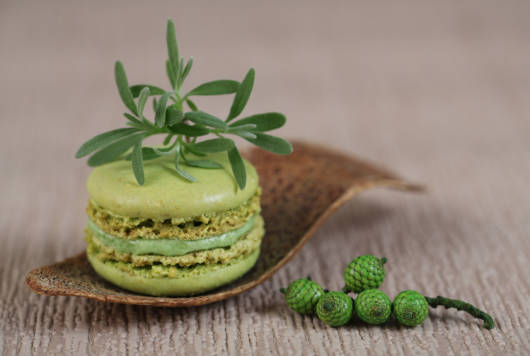 Macarons à l'angélique