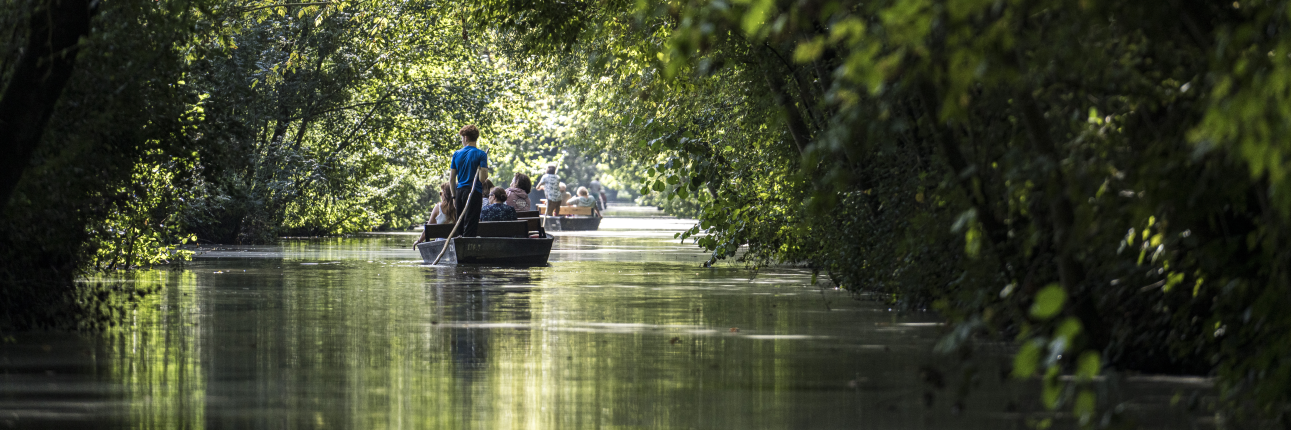 Le Marais poitevin en barque