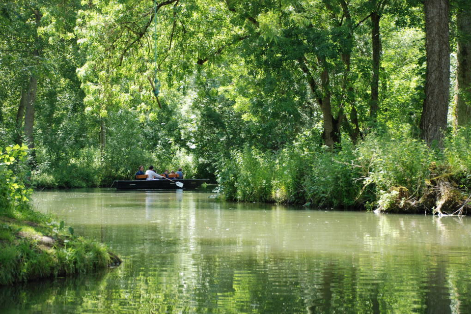 Promenade en barque dans le Marais poitevin