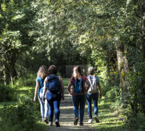 Randonnée pédestre sur les chemins du Marais