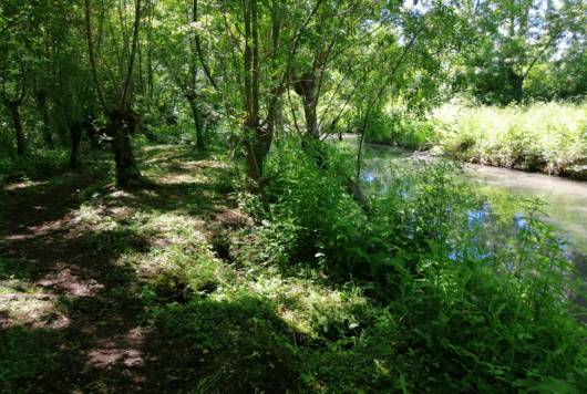 Sentier de randonnée pédestre les nattes à Aziré