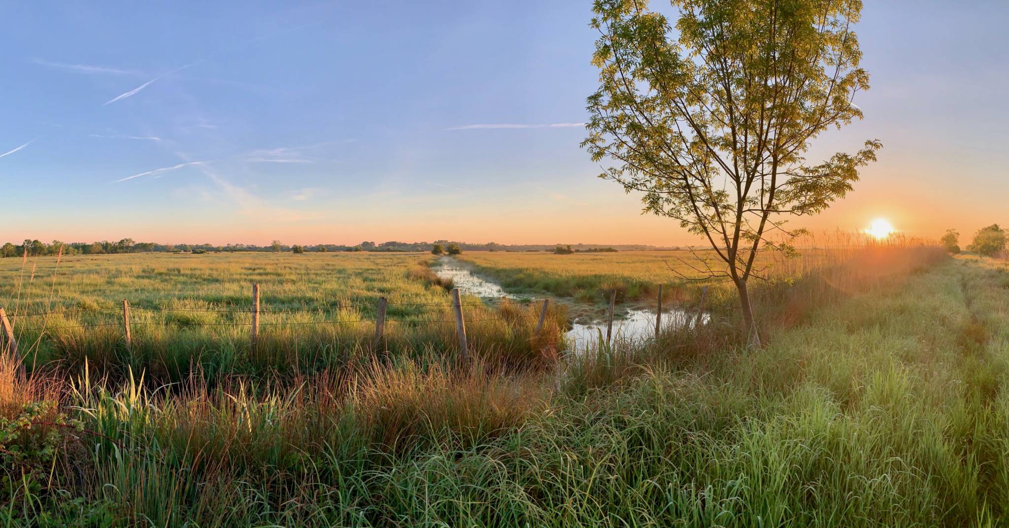 Le Marais Poitevin Une Véritable Destination Touristique 