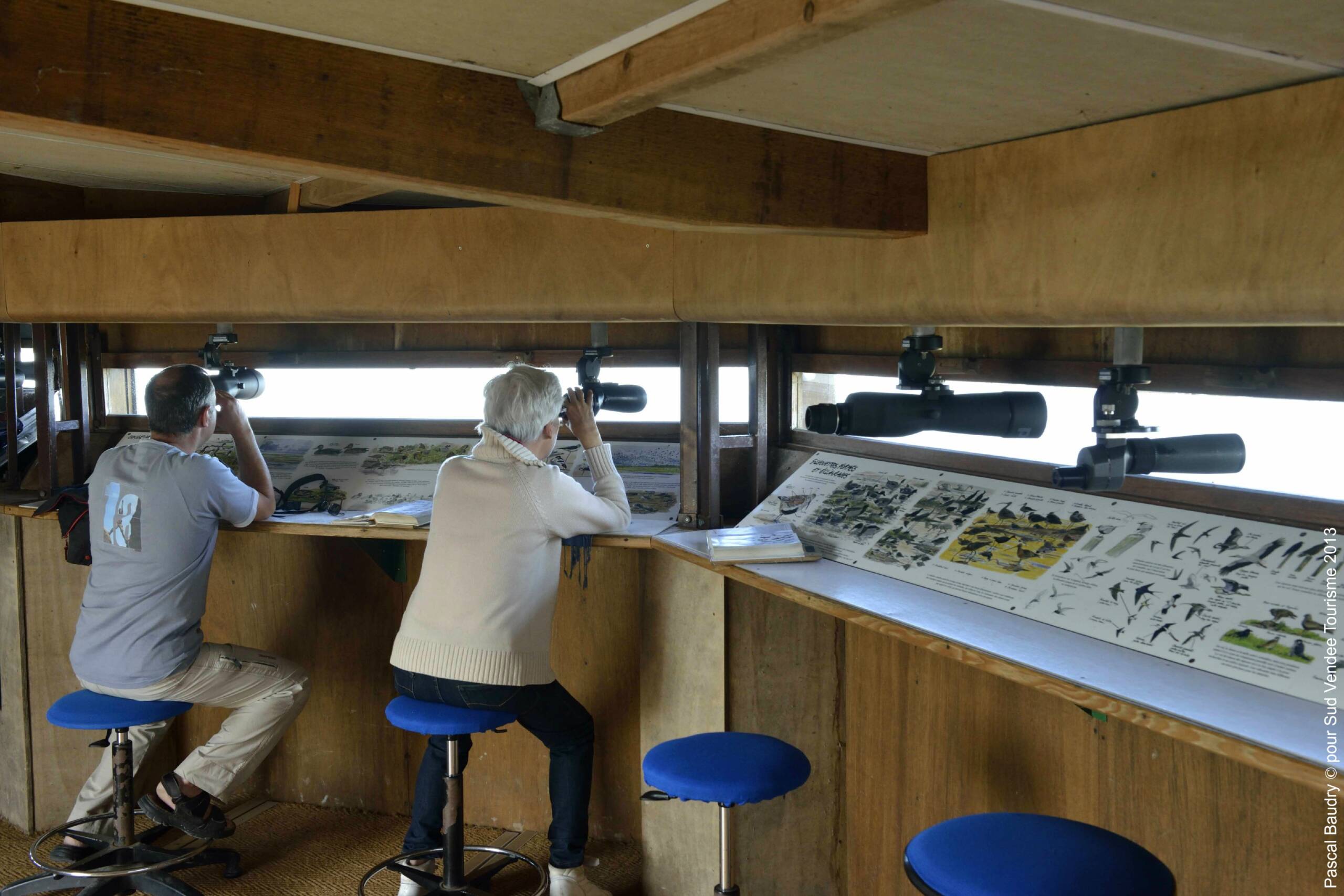 Visiteurs en pleine séance d'observation des oiseaux.