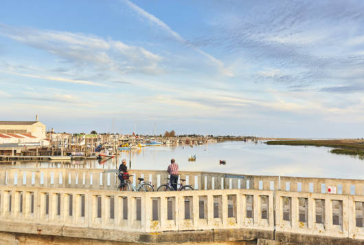 Randonneurs en bord de mer