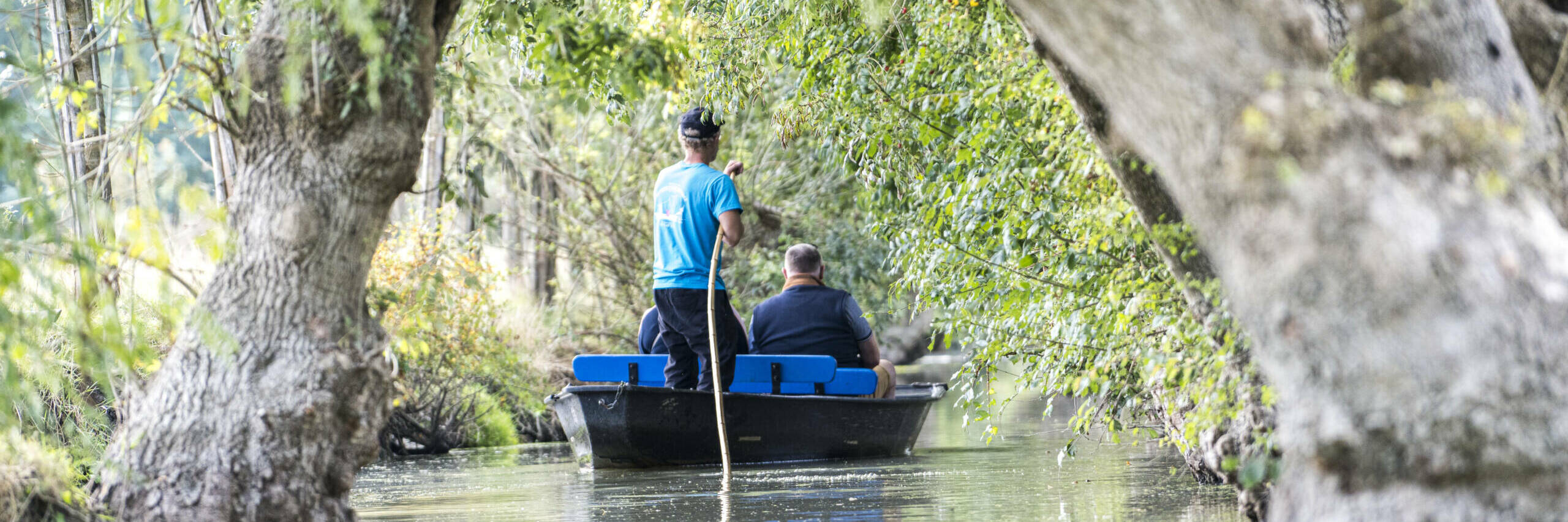 Rent a boat in the Marais poitevin