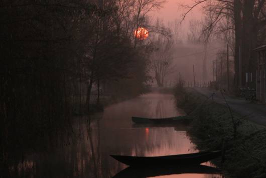 Le Marais poitevin la nuit