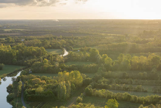 Vue aérienne du quadrillage des frênes du marais mouillé dans le Marais poitevin