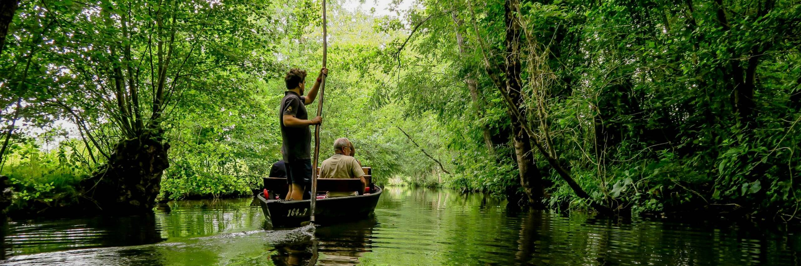 Un puzzle au profit de la replantation des arbres têtards du Marais poitevin