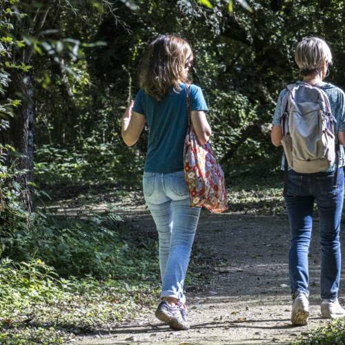 Sur les sentiers du Marais