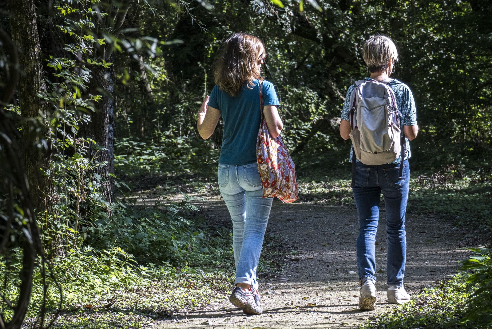 Sur les sentiers du Marais